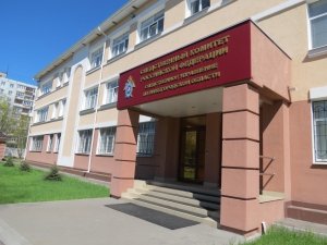 Главе ведомства будет доложено о ходе расследования уголовного дела по факту убийства матерью новорожденного ребенка в Нижегородской области